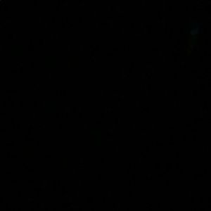 Meet your Posher, Donte